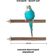 AKS Gerçek Fındık Dalından Doğal Ahşap Kuş Tüneği, 20 cm