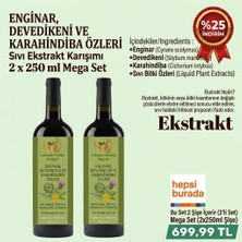 2 x 250 ml Enginar, Devedikeni ve Karahindiba Özleri Sıvı Ekstrakt | Doğal Bitkisel Destek Karışımı Lokman Hekim Hayat
