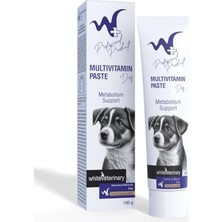 AKS Multivitamin Dog Paste 100 gr (Köpekler Için Multivitamin Macunu)