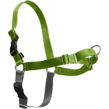 AKS Petsafe Easy Walk Köpek Koşumu, Çekmesiz Köpek Koşumu, Elma Yeşili/gri, Medium/large (Ewh-Hc-M/l-Apl)