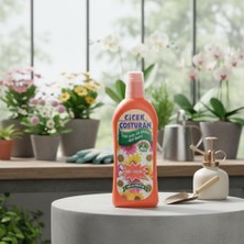 AKS Çiçek Coşturan Çiçek Açan Süs Bitkileri Için Özel Sıvı Bitki Besini 600 ml (500+100 ml Hediyeli)