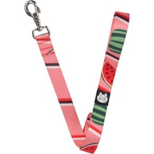 AKS Nazz Köpek Gezdirme Tasması Karpuz Pembe Large 2,5X120 cm