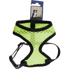 AKS Beeztees Eastland Köpek Göğüs Tasması, 15MM x 28-39 Cm, Parlak Yeşil