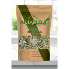Aktarloji 25 gr Bilye Kekik ( Top Kekik ) Yeni Mahsül - Katkısız & Doğal