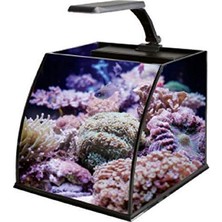 AKS Haqos Belly Box 25 Ledli Sumplu Nano Akvaryum 26X26X24CM