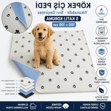 AKS Yıkanabilir Sıvı Geçirmez Köpek Çiş Pedi, 100X100 cm