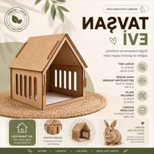 AKS Doğal Ahşap Tavşan Evi, Ham Mdf, Kolay Kurulum