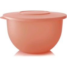 AKS Tupperware Eko Kap 2.5 Litre