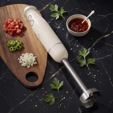 AKS Aryıldız Functional Stick Blender Krem