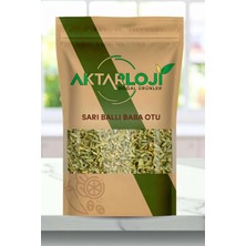 Aktarloji 25 gr Sarı Ballı Baba Otu / Ballı Baba Çayı - Yeni Mahsül - Katkısız & Doğal