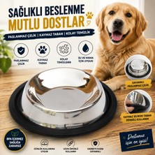 Zampa Evcil Hayvan Kaymaz Tabanlı Mama ve Su Kabı 32 Oz, 950 ml