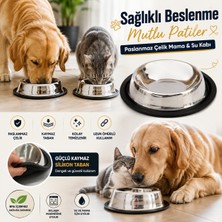 Zampa Kaymaz Tabanlı Mama ve Su Kabı 24 Oz, 770 ml