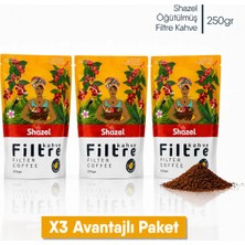 Shazel Filtre Kahve | Öğütülmüş | Doypack | 250 gr | 3 Paket