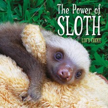 Sefa Ticaret The Power Of Sloth