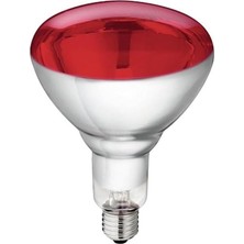 Happy Trend Philips IR150RH BR125 230 - 250 V E2 Tarım. Gıda Maddeleri