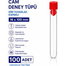 Labolist 16X100 mm Cam Deney Tüpü Dibi Yuvarlak Kapaklı 100 Adet Laboratuvar Test Tüpü