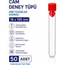 Labolist 16X100 mm Cam Deney Tüpü Dibi Yuvarlak Kapaklı 50 Adet Laboratuvar Test Tüpü