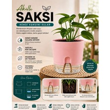 Nexvoria Kendi Kendini Sulayan Akıllı Saksı – Su Hazneli Fitilli Otomatik Sulama Saksısı 2 Litre - Pembe Renk