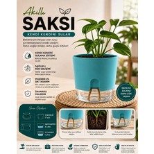 Nexvoria Kendi Kendini Sulayan Akıllı Saksı – Su Hazneli Fitilli Otomatik Sulama Saksısı 2 Litre- Turkuaz