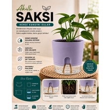 Nexvoria Kendi Kendini Sulayan Akıllı Saksı – Su Hazneli Fitilli Otomatik Sulama Saksısı 2 Litre - Lila Renk