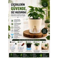 Nexvoria Kendi Kendini Sulayan Akıllı Saksı – Su Hazneli Fitilli Otomatik Sulama Saksısı 2 Litre - Krem Renk