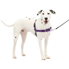 Brf Store Fhm-Prıme Petsafe Easy Walk Köpek Tasması