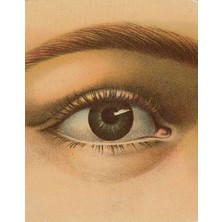 Brf Store Fhm-Prıme John Derian Picture Book