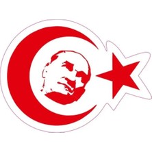 PINAXAR Bayrak Motor Özel ve Oto Sticker Kabartmalı 9x7 cm A+Kalite