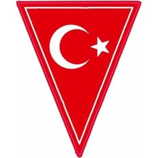 PINAXAR Flama Motor Özel ve Oto Sticker Kabartmalı 7x9,5 cm A+Kalite