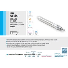 Pemaks Pm-A 12X50 PM-012-SNA-0050 Manyetikli Yastıksız Pnömatik Kalem Silindir