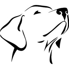 PINAXAR Asil Köpek Sticker A+Kalite 10 x 9 cm Dayanıklı