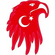 PINAXAR Kartal Motor Özel ve Oto Sticker Kabartmalı 7x9 cm A+Kalite