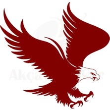 PINAXAR Kartal Tasarım Oto Yerli Üretim A+Kalite Kırmızı 20*20 cm Dayanıklı