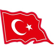 PINAXAR Bayrak Motor Özel ve Oto Sticker Kabartmalı 10X6,5 cm A+Kalite