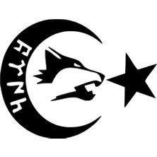 PINAXAR Göktürkçe Ay Yıldız Oto Yerli Üretim A+Kalite Siyah 25 x 20 cm Dayanıklı