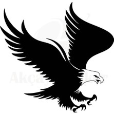 PINAXAR Kartal Tasarım Sticker A+Kalite 30 x 30 cm Dayanıklı