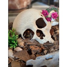 Akvaryum Süsü Kırık Kafatası Dekorasyon - Balık Saklanma Alanı ve Akvaryum Dekoru (Skull Deco