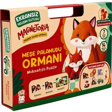 Sincap Kitap Magnetoria - Meşe Palamudu Ormanı