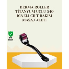 Sh Ticaret Titanyum Dermaroller 540 Iğne Cilt Onarım Kolajen Üretim Desteği