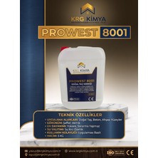 8001 Taş Verniği 5 kg