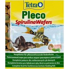 Tetra Pleco Spiriluna Wafers Bitkisel Dip  Balık YEMI-15GR