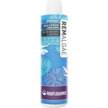 ReeFlowers Remalgae - Yosun Giderici 85 ml