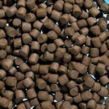 White Balance Akvaryum Dip Balık Yemi 8 mm 1 kg