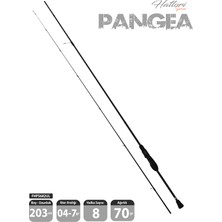 Fujin Hattori Pangea 203CM 04-7gr Lrf Kamışı 682UL