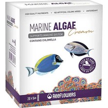 ReeFlowers Marine  Algae  Cream 5GRX20