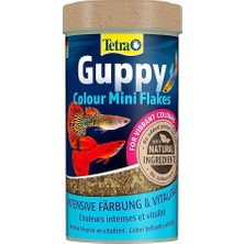 Tetra Guppy Clour Mini Flakes  Lepistes Pul  Balık  Yemi 100 ml