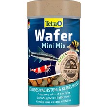 Tetra Wafermix Mini Ufak Taneli Dip  Balık YEMI-100ML