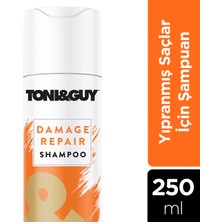 Toni&Guy Yıpranmış Saçlar İçin Onarıcı Şampuan 250 ml Standart İçerik ile Güçlü Bakım