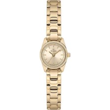Wesse WWL115802