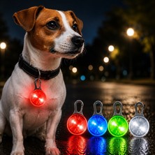 Bak Gel Al Klipsli LED Evcil Hayvan Güvenlik Işığı Köpek ve Kedi Tasma Görünürlük Lambası